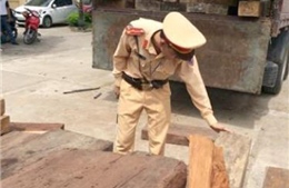 Thanh Hóa bắt giữ xe chở gỗ lậu