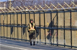 Binh sỹ Triều Tiên đào tẩu qua khu phi quân sự ở biên giới liên Triều 