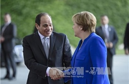 Ai Cập kêu gọi loại bỏ các nguồn bảo trợ khủng bố