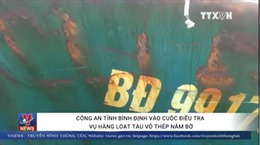 Công an tỉnh Bình Định vào cuộc điều tra vụ hàng loạt tàu vỏ thép nằm bờ