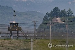 Thêm 1 người Triều Tiên chạy trốn sang Hàn Quốc