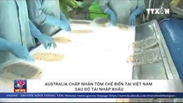 Australia chấp nhận tôm chế biến tại Việt Nam sau đó tái nhập khẩu