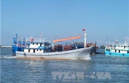 Quảng Nam: Thành lập đội cứu nạn cứu hộ và bảo vệ môi trường biển