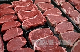 Mỹ ngừng nhập khẩu thịt bò Brazil vì ngại thịt bẩn