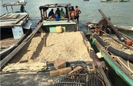 Bắt quả tang các đối tượng khai thác cát trái phép trên sông Thu Bồn