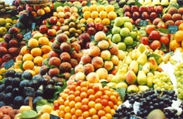 Bách hóa Xanh hợp tác với Hoàng Anh Gia Lai tiêu thụ trái cây 