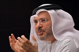 Các nước Arab không tìm cách thay đổi chế độ ở Qatar 