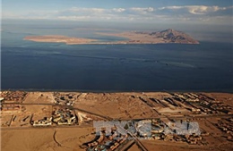 Ai Cập thông qua thỏa thuận chuyển giao 2 hòn đảo cho Saudi Arabia 