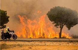 Cháy lớn tại khu bảo tồn tự nhiên của Tây Ban Nha, hàng nghìn người phải sơ tán