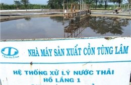 Giải quyết ô nhiễm môi trường khu vực giáp ranh Bình Thuận - Đồng Nai