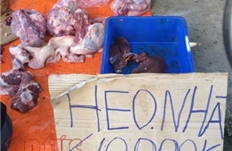 Nông dân tự cứu mình bằng mang &#39;thịt lợn nhà nuôi&#39; lên TP Hồ Chí Minh bán lẻ