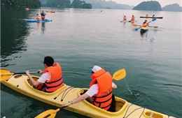 8 khu vực được chèo thuyền kayak trên vịnh Hạ Long