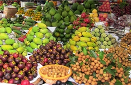 Gần 60% hoa quả nhập khẩu từ Thái Lan 