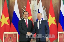 Chủ tịch nước Trần Đại Quang hội đàm với Tổng thống LB Nga Vladimir Putin