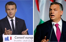 Đông Âu: Chọn Emmanuel Macron hay Viktor Orban?