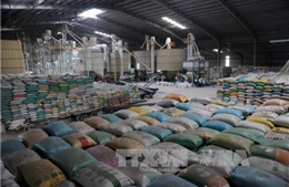 Xuất khẩu gạo tăng nhờ... bán giá thấp?