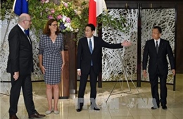 Nhật Bản, EU bước vào đàm phán FTA giai đoạn cuối 