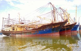Bộ NN&PTNT báo cáo Chính phủ về chất lượng tàu cá vỏ thép 