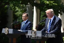 Mỹ hối thúc Hàn Quốc đàm phán lại FTA song phương