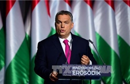 Thủ tướng Hungary Orban – từ &#39;nổi loạn&#39; sang &#39;hình mẫu&#39;?