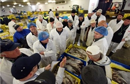 Anh tuyên bố rút khỏi Công ước đánh cá London