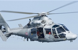 Rơi máy bay trực thăng cứu hộ tại Indonesia, 8 người thiệt mạng 