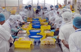 Xuất khẩu khả quan nhưng chưa thể chủ quan 