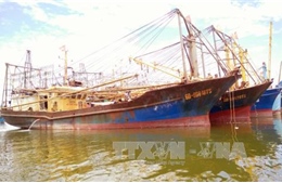 Bình Định giám sát sửa chữa 19 tàu vỏ thép hư hỏng do sai thiết kế
