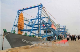 Thanh Hóa: 18/23 tàu vỏ thép đóng theo Nghị định 67 của Chính phủ bị hư hỏng