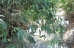 Vụ gây ô nhiễm nguồn nước suối ở Phú Thọ: Sẽ nâng cấp hệ thống xử lý nước thải