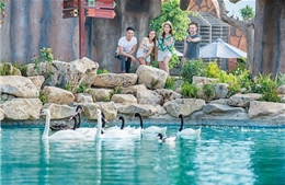 Du lịch hè- chọn nghỉ dưỡng hay trải nghiệm?