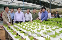 Lâm Đồng cần tập trung sản xuất nông nghiệp công nghệ cao