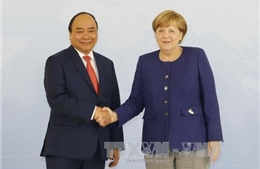 Thủ tướng Nguyễn Xuân Phúc hội đàm với Thủ tướng Đức Angela Merkel
