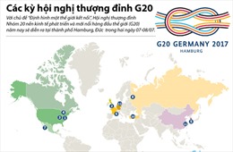Các kỳ hội nghị thượng đỉnh G20