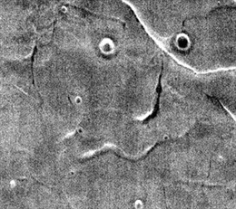 NASA tung ảnh &#39;gương mặt&#39; trên Sao Hỏa