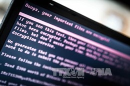 Hơn 71% máy tính và thiết bị di động nhiễm mã độc, thông tin người dùng bị rò rỉ 