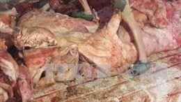 Phát hiện hơn 4 tấn thịt thủ lợn sơ chế bằng hóa chất, bốc mùi hôi thối