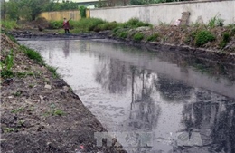 Xử lý nghiêm các cơ sở gây ô nhiễm tại Cụm công nghiệp Tân Hồng-Bình Giang