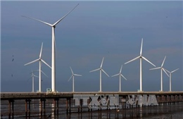 Việt Nam - tiềm năng lớn phát triển điện gió ngoài khơi