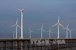 Tiềm năng phát triển năng lượng gió biển ở Việt Nam 