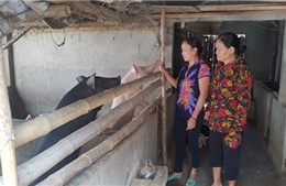 Nâng cao đời sống người dân huyện miền núi Anh Sơn