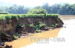 Phối hợp quản lý khai thác cát vùng giáp ranh sông Đồng Nai 