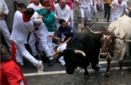 Lễ hội rượt bò San Fermin tại Tây Ban Nha khiến nhiều du khách bị thương