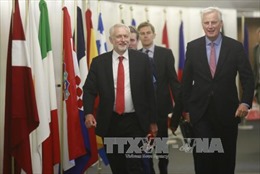 Đàm phán vòng 2 Brexit ấn định vào ngày 16/7 tại Brussel 