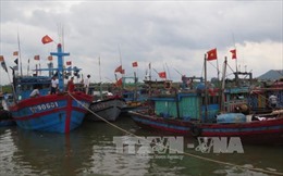 Ứng phó với bão Yutu: Thanh Hóa khẩn trương kêu gọi tàu thuyền về trú bão