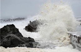 3.500 du khách mắc kẹt ở đảo Cô Tô vì biển động