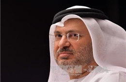 UAE bác cáo buộc tấn công mạng Qatar