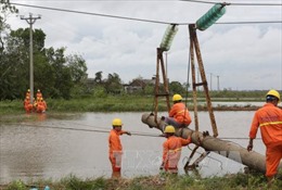  Khôi phục 11 đường dây 110kV ở Thanh Hóa - Hà Tĩnh bị sự cố sau bão 