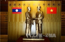 Điện mừng 55 năm quan hệ ngoại giao Việt Nam - Lào