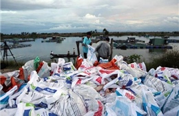 Đà Nẵng: 60 tấn cá lồng trên sông Cổ Cò chết bất thường